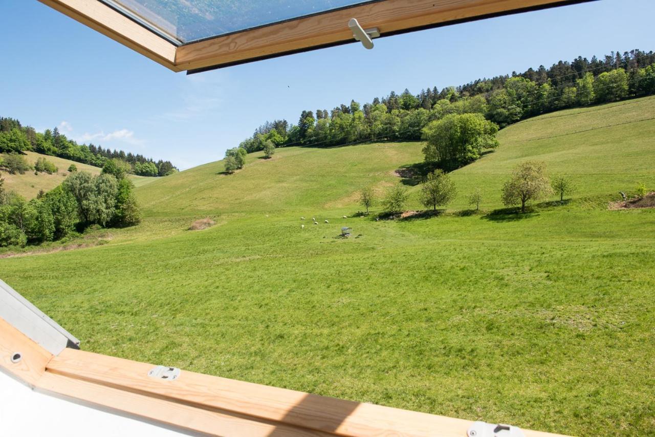 Ferienhaus Kappel Mit Pool Фрайбург-у-Брайсгау Екстер'єр фото
